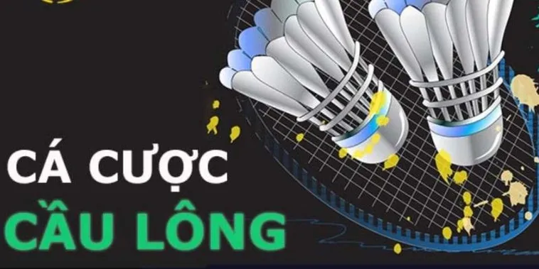 Hướng Dẫn Cách Chơi Cá Cược Cầu Lông Tại AE888 Hiệu Quả