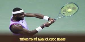 Tìm Hiểu Cá Cược Quần Vợt AE888: Xu Hướng Giải Trí Thể Thao Hấp Dẫn